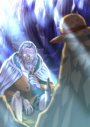 Rule 34 | 1boy, alcohol, drink, closed eyes, facial hair, forest, glasses, grey hair, hat, leg hair, light rays, long sleeves, male focus, musasabiop, nature, one piece, rock, scar, scar across eye, shorts, silvers rayleigh, sitting, smile, solo, straw hat, sunbeam, sunlight