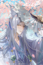 Rule 34 | 1boy, animal ears, cherry blossoms, chinese clothes, chinese knot, coat, covering head, dappled sunlight, day, earrings, eyeliner, falling petals, flower, folding fan, fox boy, fox ears, hand fan, hand up, hanfu, highres, holding, holding fan, jade (gemstone), jewelry, light and night love, long hair, long sleeves, looking at viewer, makeup, male focus, open clothes, open coat, parted bangs, parted lips, petals, pink flower, purple robe, qi sili, qixing dan, red eyeliner, robe, solo, sunlight, tassel, tassel earrings, tree, upper body, weibo logo, weibo watermark, white coat, white hair, yaopei, yellow eyes