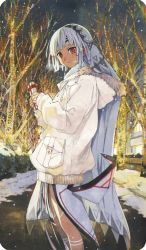 Rule 34 | 1girl, altera (fate), altera (sweet crystal) (fate), box, building, bush, christmas lights, coat, craft essence (fate), dark-skinned female, dark skin, fate/grand order, fate (series), fur-trimmed coat, fur trim, gift, gift box, highres, holding, holding gift, horiguchi yukiko, looking at viewer, official art, outdoors, red eyes, road, smile, snow, solo, street, tree, white coat, white hair, winter clothes, winter coat