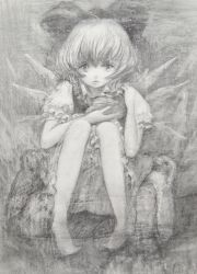 Rule 34 | 1girl, animal, bad id, bad pixiv id, barefoot, bird, bloomers, bow, charcoal (medium), cirno, dress, frilled dress, frilled sleeves, frills, frown, greyscale, hair bow, holding, knees together feet apart, koneneko, looking at viewer, monochrome, penguin, pigeon-toed, puffy short sleeves, puffy sleeves, short hair, short sleeves, sitting, touhou, traditional media, underwear