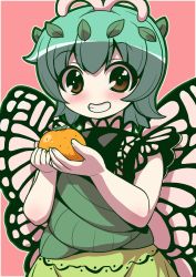 Rule 34 | 1girl, antennae, aqua hair, blush, brown eyes, butterfly wings, dress, emina, eternity larva, fairy, food, fruit, green dress, grin, hair between eyes, highres, holding, holding food, holding fruit, insect wings, leaf, leaf on head, multicolored clothes, multicolored dress, orange (fruit), short hair, short sleeves, smile, solo, third-party source, touhou, upper body, wings