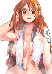 Rule 34 | 1girl, aosora2823, breasts, highres, nami (one piece), navel, one piece, solo, stomach, tagme, tower