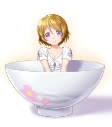 Rule 34 | 10s, 1girl, bowl, brown hair, casual, dress, in bowl, in container, koizumi hanayo, looking at viewer, love live!, love live! school idol project, onsoku inu, purple eyes, rice bowl, short hair, smile, solo