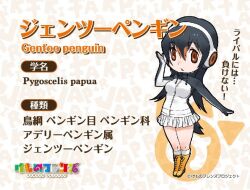 Rule 34 | 1girl, animal ears, extra ears, gentoo penguin (kemono friends), kemono friends, looking at viewer, official art, simple background, solo, tail, yoshizaki mine