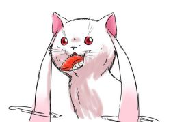 Rule 34 | 10s, cat, close-up, fish (food), food, kyubey, mahou shoujo madoka magica, mahou shoujo madoka magica (anime), nigirizushi, no humans, nura (oaaaaaa), open mouth, pointy ears, red eyes, sharp teeth, simple background, sushi, teeth, tongue, tongue out, whiskers, white background