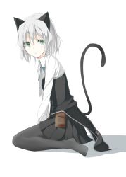 Rule 34 | 1girl, animal ears, black pantyhose, blush, cat ears, cat tail, green eyes, necktie, pantyhose, pouch, sanya v. litvyak, short hair, silver hair, sitting, solo, strike witches, tail, umeo retto, world witches series