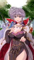Rule 34 | 1girl, absurdres, animal, ao hito, armor, bird, bird on hand, cape, commission, commissioner upload, earrings, fire emblem, fire emblem: genealogy of the holy war, fire emblem heroes, highres, ishtar (fire emblem), ishtar (fire emblem) (echoing thunder), jewelry, long hair, necklace, nintendo, official alternate costume, pauldrons, purple eyes, purple hair, shoulder armor, skeb commission, tree