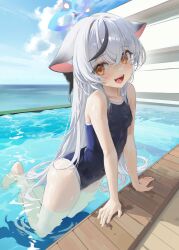 Rule 34 | 1girl, :d, absurdres, animal ears, bare arms, bare legs, bare shoulders, black hair, black one-piece swimsuit, blue archive, blue halo, breasts, day, grey hair, hair between eyes, halo, highres, kokona (blue archive), long hair, looking at viewer, multicolored hair, one-piece swimsuit, open mouth, orange eyes, outdoors, pepperdevil, small breasts, smile, solo, streaked hair, swimsuit, tiger ears, water, wet, wet clothes, wet swimsuit