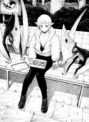 Rule 34 | 1girl, bench, bob cut, closed mouth, dinosaur, down jacket, elf, feeding, greyscale, highres, jacket, knees together feet apart, long sleeves, making-of available, monochrome, open clothes, open jacket, original, outdoors, pants, pointy ears, quetzalcoatlus, shirt, shoes, short hair, sitting, smile, solo, strange elf (y naf), y naf