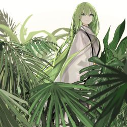 Rule 34 | 1other, androgynous, closed mouth, enkidu (fate), eyelashes, fate/grand order, fate/strange fake, fate (series), fern, green theme, grey eyes, highres, light green hair, long hair, narue, plant, robe, simple background, solo, very long hair, white background, white robe