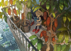 Rule 34 | 1girl, black socks, building, child, cityscape, cocoa pod, commentary request, date pun, day, demizu posuka, food, frown, fruit, kneehighs, leaf, number pun, original, plant, potted plant, short hair, sliding doors, slippers, socks, solo, tree, unworn slippers, wide shot, window