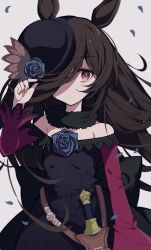 Rule 34 | 1girl, animal ears, bare shoulders, black dress, black hair, black hat, blue flower, blue rose, closed mouth, commentary request, dagger, dress, flower, grey background, hair over one eye, hand up, hat, hat flower, highres, horse ears, knife, long hair, long sleeves, off-shoulder dress, off shoulder, purple eyes, rice shower (umamusume), rose, simple background, solo, tilted headwear, toake mikage, umamusume, very long hair, weapon, wide sleeves