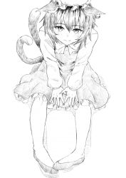 Rule 34 | 1girl, animal ears, between legs, blush, bow, bowtie, cat ears, cat tail, chen, closed mouth, earrings, fingernails, frills, full body, greyscale, hair between eyes, hand between legs, hat, jewelry, long fingernails, long sleeves, looking at viewer, mob cap, monochrome, multiple tails, nathaniel pennel, nose blush, own hands together, sharp fingernails, shoes, short hair, simple background, sitting, solo, tail, touhou, two tails, white background
