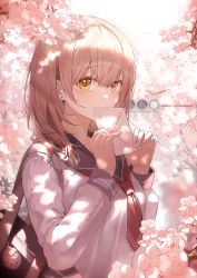 Rule 34 | 1girl, absurdres, bag, blue sailor collar, blush, breasts, brown hair, cherry blossoms, commentary, covering own mouth, english commentary, flower, hands up, highres, holding, holding letter, letter, looking at viewer, love letter, medium breasts, medium hair, momimi, neckerchief, original, red neckerchief, sailor collar, school uniform, serafuku, shirt, shoulder bag, solo, traffic light, uniform, upper body, white shirt, yellow eyes