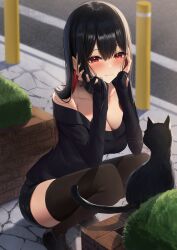 Rule 34 | 1girl, absurdres, amane sora, black cat, black hair, black shirt, black thighhighs, blush, breasts, cat, closed mouth, collarbone, colored inner hair, day, highres, large breasts, long hair, long sleeves, mole, mole under mouth, multicolored hair, original, outdoors, red eyes, red hair, shirt, single bare shoulder, smile, squatting, thighhighs, thighs