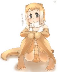 Rule 34 | 10s, 1girl, :&lt;, animal ears, artist logo, bad id, bad pixiv id, bare shoulders, brown gloves, brown thighhighs, closed mouth, commentary request, crossed arms, detached collar, elbow gloves, empty eyes, extra ears, feet, full body, fur collar, gloves, head tilt, highres, japanese otter (kemono friends), kemono friends, knees together feet apart, knees up, light brown hair, light smile, looking at viewer, medium hair, multicolored hair, one-piece swimsuit, otter ears, otter tail, sidelocks, simple background, sitting, solo, swimsuit, tail, thighhighs, thin (suzuneya), toeless legwear, toes, translation request, two-tone hair, white background, white hair