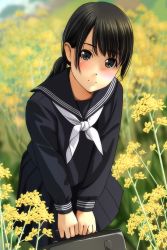 Rule 34 | 1girl, absurdres, black hair, black sailor collar, black serafuku, black shirt, black skirt, blurry, blurry background, blush, briefcase, closed mouth, day, depth of field, field, flower, flower field, hair between eyes, head tilt, highres, holding, leaning forward, long sleeves, looking at viewer, low ponytail, matsunaga kouyou, neckerchief, nose blush, original, outdoors, own hands together, pleated skirt, ponytail, rapeseed blossoms, sailor collar, school briefcase, school uniform, serafuku, shirt, skirt, smile, solo, v arms, white neckerchief, yellow flower