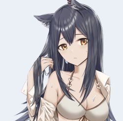 Rule 34 | 1girl, animal ear fluff, animal ears, arknights, bare shoulders, bikini, black hair, breasts, cleavage, closed mouth, collarbone, collared shirt, front-tie bikini top, front-tie top, grey bikini, halterneck, hand up, highres, large breasts, long hair, looking at viewer, off shoulder, open clothes, open shirt, orange eyes, ryouta (ryouta335), shirt, solo, swimsuit, texas (arknights), upper body, wet, white shirt, wolf ears