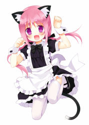 Rule 34 | animal ear fluff, animal ears, apron, cat ears, cat tail, dress, fang, full body, jumping, long hair, maid, maid apron, meito (maze), original, pink hair, purple eyes, tail, thighhighs, twintails