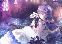 Rule 34 | 1girl, blunt bangs, capelet, colored eyelashes, crescent, crescent hair ornament, double bun, dress, flower, frilled dress, frills, ginzuki ringo, hair bun, hair ornament, hair ribbon, holding, holding flower, lantern, long hair, long sleeves, monocle, outdoors, patchouli knowledge, purple eyes, purple hair, purple ribbon, ribbon, sitting, solo, touhou, very long hair, vial, white background