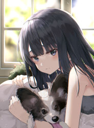 Rule 34 | 1girl, animal, backlighting, bare shoulders, black hair, blue eyes, blunt bangs, blurry, blurry background, blush, closed mouth, depth of field, dog, highres, indoors, kanzi, long hair, looking at viewer, lying, on stomach, original, sleeveless, solo, tongue, tongue out, upper body