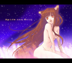 Rule 34 | 00s, 1girl, animal ears, bad id, bad pixiv id, breasts, brown hair, copyright name, holo, letterboxed, long hair, looking away, namisaki yuka, nude, parted lips, red eyes, solo, spice and wolf, tail, wolf ears, wolf tail