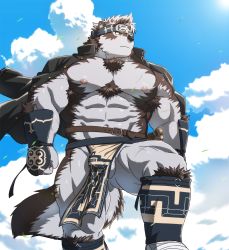 Rule 34 | 1boy, abs, animal ears, bara, barefoot, body hair, brown fur, bulge, cloud, cloudy sky, dog boy, dog ears, dog tail, facial hair, furry, furry male, grey fur, highres, horkeu kamui, large pectorals, male focus, manly, muscular, navel, nipples, pectorals, penis, penis peek, revealing clothes, rossciaco, short hair, sky, solo, tail, thick thighs, thighs, tokyo houkago summoners, topless male, two-tone fur, upper body