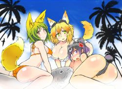 Rule 34 | 3girls, animal ears, ass, bikini, black hair, blonde hair, breasts, character request, cleavage, day, fish, flower, fox ears, fox tail, goggles, goggles on head, graz, green eyes, green hair, hair flower, hair ornament, hibiscus, large breasts, looking at viewer, multicolored hair, multiple girls, orange bikini, orange eyes, palm tree, polka dot, polka dot bikini, polka dot swimsuit, purple eyes, purple hair, sengoku collection, sideboob, smile, swimsuit, tail, tree, two-tone hair, underboob, white bikini