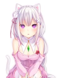 Rule 34 | 10s, 1girl, amashiro natsuki, animal ears, bad id, bad twitter id, bare shoulders, blush, braid, breasts, cat ears, cat tail, cleavage, commentary request, detached sleeves, dress, elf, emilia (re:zero), flower, hair flower, hair ornament, hair ribbon, highres, kemonomimi mode, long hair, looking at viewer, pink dress, pointy ears, purple eyes, re:zero kara hajimeru isekai seikatsu, ribbon, silver hair, sitting, slit pupils, small breasts, solo, tail, thighhighs, white thighhighs