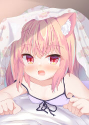 Rule 34 | 1girl, animal ear fluff, animal ears, blonde hair, blush, camisole, cat ears, cat girl, fang, looking at viewer, lying, on stomach, open mouth, original, red eyes, strap slip, umi suzume, under covers