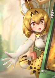 Rule 34 | 1girl, animal ear fluff, animal ears, bare shoulders, blonde hair, blurry, blurry background, bow, bowtie, commentary, day, elbow gloves, english commentary, extra ears, eyes visible through hair, gloves, hair between eyes, high-waist skirt, highres, japari bus, john (a2556349), kemono friends, looking at viewer, open mouth, outdoors, outstretched arm, print bow, print bowtie, print skirt, reaching, reaching towards viewer, serval (kemono friends), serval print, shirt, signature, skirt, sleeveless, sleeveless shirt, solo, tail, traditional bowtie, v-shaped eyebrows, white shirt, yellow eyes