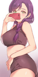 Rule 34 | 1girl, braid, breasts, cellphone, duke (inu daimyou), green eyes, holding, holding phone, large breasts, long hair, looking at viewer, love live!, love live! school idol project, midriff, phone, purple hair, selfie, single braid, smile, solo, tojo nozomi