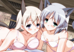 Rule 34 | 2girls, animal ears, ass, bed, blue eyes, blush, bra, breasts, cat ears, cat tail, cleavage, closed mouth, eila ilmatar juutilainen, fox ears, fox tail, green eyes, grin, indoors, isa (ni-iro), large breasts, long hair, looking at viewer, multiple girls, on bed, panties, parted lips, sanya v. litvyak, short hair, small breasts, smile, strike witches, tail, teeth, underwear, white bra, white hair, white panties, world witches series