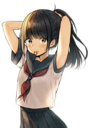 Rule 34 | 1girl, arms up, black hair, black sailor collar, black skirt, blush, brown eyes, commentary request, hair tie, hair tie in mouth, high ponytail, long hair, looking at viewer, midorikawa you, mouth hold, neckerchief, original, pleated skirt, ponytail, red neckerchief, sailor collar, school uniform, serafuku, shirt, short sleeves, sidelocks, simple background, skirt, solo, tying hair, white background, white shirt