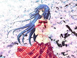 Rule 34 | amafuki setsuka, blue hair, cherry blossoms, green eyes, hanafubuki, highres, long hair, petals, plaid, plaid skirt, sakurazawa izumi, school uniform, skirt, smile, solo, wallpaper