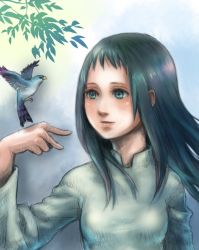 Rule 34 | 1girl, bird, black hair, branch, closed mouth, commentary request, dress, leaf, long hair, mono (shadow of the colossus), shadow of the colossus, smile, solo
