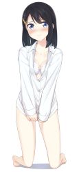 Rule 34 | 1girl, absurdres, apollo (hu maple), barefoot, black hair, blue eyes, blush, bra, breasts, closed mouth, dress shirt, full body, highres, kneeling, looking at viewer, medium breasts, open clothes, open shirt, original, self-upload, shirt, short hair, solo, thighs, underwear, white shirt