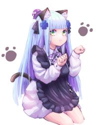 Rule 34 | 1girl, 28 (282teeth), aged down, animal ear fluff, animal ears, apron, bad id, bad pixiv id, black apron, blue hair, bow, bowtie, cat ears, cat tail, checkered bow, checkered bowtie, checkered clothes, checkered neckwear, commentary request, cropped legs, girls&#039; frontline, green eyes, hair ornament, hat, highres, hk416 (black kitty&#039;s gift) (girls&#039; frontline), hk416 (girls&#039; frontline), long hair, long sleeves, looking at viewer, mini hat, official alternate costume, paw pose, paw print, paw print background, solo, tail, white background