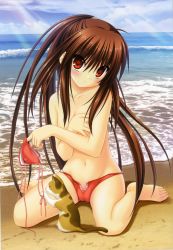 Rule 34 | 1girl, absurdres, barefoot, beach, bikini, unworn bikini top, blush, breast hold, breasts, brown hair, calico, cameltoe, cat, covering privates, covering breasts, day, feet, head tilt, highres, little busters!, long hair, na-ga, natsume rin, navel, ocean, official art, orange bikini, outdoors, ponytail, red eyes, small breasts, solo, swimsuit, toes, topfreedom, topless, very long hair, water