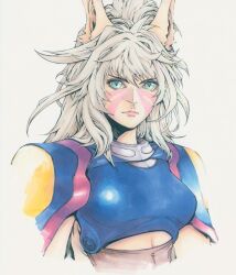 Rule 34 | 1girl, andy seto, animal ears, aqua eyes, armor, breastplate, breasts, cat ears, chinese commentary, commentary, cropped torso, cyber weapon z, english commentary, facial mark, highres, light frown, long hair, marker (medium), medium breasts, mixed-language commentary, pink lips, portrait, rosaland (cyber weapon z), serious, shoulder armor, solo, traditional media, white hair