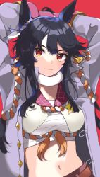 Rule 34 | 1girl, animal ears, arms up, belt, black hair, breasts, choker, closed mouth, coat, commentary request, highres, horse ears, long hair, long sleeves, looking at viewer, medium breasts, narita brian (umamusume), navel, open clothes, open coat, popped collar, red background, red eyes, rope, sarashi, simple background, solo, umamusume, upper body, zono (inokura syuzo029)