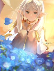 Rule 34 | 1girl, artist name, blue flower, blue petals, boots, brown footwear, brown leggings, capelet, closed mouth, cloud, commentary, dusk, dutch angle, elf, eyelashes, film grain, flower, flower bed, frieren, green eyes, hand on own knee, highres, hikimayu, itoka mei (nai), knees up, leggings, light smile, long hair, looking at viewer, orange sky, outdoors, parted lips, pointy ears, short eyebrows, sky, solo, sousou no frieren, squatting, sunset, teardrop earrings, thick eyebrows, twintails, twitter username, white capelet, white hair