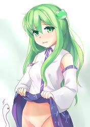 Rule 34 | 1girl, blush, clothes lift, detached sleeves, embarrassed, frog hair ornament, gradient background, green eyes, green hair, hair ornament, kochiya sanae, long hair, long sleeves, matching hair/eyes, niiya, no panties, out-of-frame censoring, shirt, skirt, skirt lift, snake, solo, tan, tanline, touhou, very long hair, wide sleeves