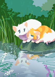 Rule 34 | absurdres, animal, animal focus, blue eyes, brightheart, cat, cloudtail, commentary request, flower, grass, highres, looking at another, nature, no humans, no lineart, outdoors, phyllosta tiyo, reflection, reflective water, scar, scar on face, sitting, tail, the prophecies begin, warrior cats, water, white cat