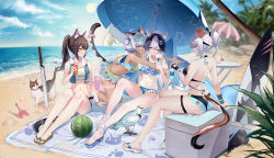 Rule 34 | 4girls, ;d, ^ ^, absurdres, animal ear fluff, animal ears, ass, bare arms, bare back, bare legs, bare shoulders, beach, beach towel, beach umbrella, bikini, bikini skirt, bird, black gloves, blue sky, brown hair, cat, cat ears, cat tail, character request, chinese commentary, closed eyes, cloud, commentary request, copyright request, crop top, day, fingerless gloves, food, fruit, gloves, highres, hood, hooded jacket, jacket, long hair, looking at another, midriff, multiple girls, navel, ocean, one eye closed, open mouth, ponytail, sandals, sheya, shirt, sitting, sky, sleeveless, sleeveless jacket, smile, stomach, sun, surfboard, tail, thigh strap, thighs, towel, umbrella, water, watermelon, wet, wet clothes, wet shirt, white hair, white shirt, yellow eyes
