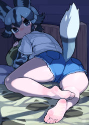Rule 34 | 1girl, absurdres, african wild dog (kemono friends), african wild dog print, animal ears, ass, bare legs, barefoot, bed, black hair, clothing cutout, commentary request, cutoffs, denim, denim shorts, dog ears, dog girl, dog tail, dress, extra ears, feet, foot focus, from behind, full body, grey hair, highres, indoors, kemono friends, layered sleeves, long sleeves, looking at viewer, looking back, medium hair, multicolored hair, hugging object, on bed, outstretched leg, parted lips, pillow, pillow hug, print sleeves, rinx, shirt, short dress, short over long sleeves, short sleeves, shorts, sidelocks, soles, solo, tail, tail through clothes, thighs, two-tone hair, white shirt