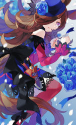 Rule 34 | 1girl, animal ears, black bow, blue dress, blue flower, blue hat, blue rose, blurry, blurry background, bouquet, bow, brown hair, chachi (azuzu), clenched hands, crying, crying with eyes open, dagger, dress, eyes visible through hair, flower, flying, from side, fur collar, hair over one eye, hands up, hat, hat flower, horse ears, horse girl, horse tail, knife, light, long hair, long sleeves, looking at viewer, lying, off-shoulder dress, off shoulder, on side, parted lips, petals, purple eyes, red sleeves, red thighhighs, ribbon, ribbon-trimmed legwear, ribbon trim, rice shower (umamusume), rose, scabbard, shadow, sheath, solo, tail, tears, teeth, thighhighs, tilted headwear, umamusume, weapon, white background