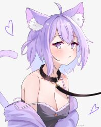Rule 34 | 1girl, ahoge, animal collar, animal ear fluff, animal ears, black camisole, black collar, breasts, camisole, cat ears, cat girl, cat tail, cleavage, closed mouth, collar, commentary, english commentary, heart, highres, hololive, jacket, large breasts, leash, looking at viewer, magui3, medium hair, nekomata okayu, nekomata okayu (membership), off shoulder, official alternate costume, open clothes, open jacket, purple eyes, purple hair, purple jacket, simple background, single bare shoulder, solo, strap slip, tail, upper body, virtual youtuber, white background