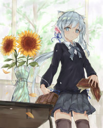 Rule 34 | 1girl, animal ears, asashio (azur lane), asashio (the transfer student underneath the dancing petals) (azur lane), azur lane, black sweater, blue eyes, blue hair, blue ribbon, blush, book, bow, braid, briefcase, brown thighhighs, cat ears, collared shirt, commentary request, flower, grey bow, grey skirt, hair between eyes, hair flower, hair ornament, hair ribbon, hanagin, highres, holding, holding book, indoors, long hair, looking at viewer, open book, parted lips, pink flower, pleated skirt, ribbon, school briefcase, school uniform, shirt, side ponytail, single braid, skirt, solo, sunflower, sweater, table, thighhighs, tree, vase, very long hair, water, white shirt, window, yellow flower