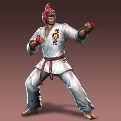 Rule 34 | 1boy, alternate costume, dougi, karate, karate gi, shin sangoku musou, taishi ci